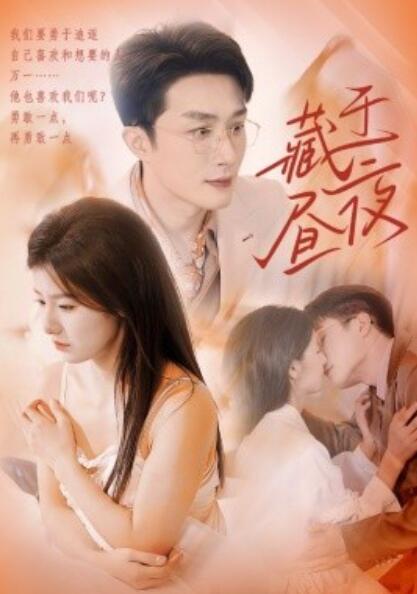 短剧《藏于昼夜（80集全）叶庭＆王槿》完整版高清免费观看  第1张