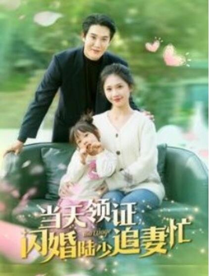 短剧《当天领证闪婚陆少追妻忙（1-80集）》夸克网盘资源免费观看  第1张