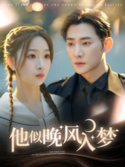 短剧《他似晚风入梦（100集全）于叔＆彭千玲》完整版高清免费观看  第1张