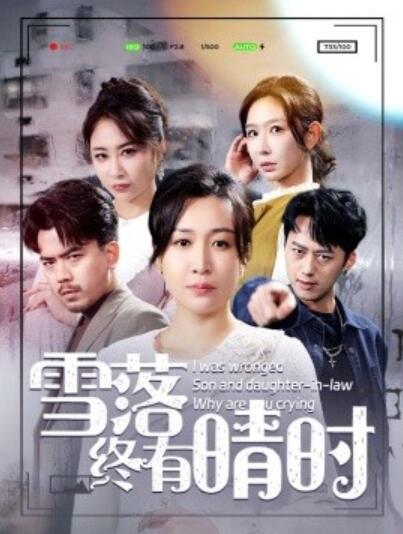 短剧《雪落终有晴时（80集全）王妍》完整版高清免费观看  第1张