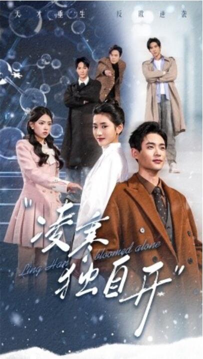 短剧《凌寒独自开（59集全）秦远＆汪巧》完整版高清免费观看  第1张