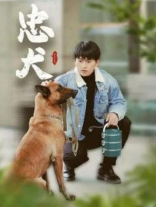 短剧《忠犬（1-34集）》夸克网盘资源免费观看  第1张