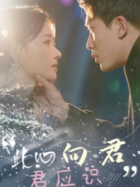 短剧《此心向君君应识（1-70集）》夸克网盘资源免费观看  第1张