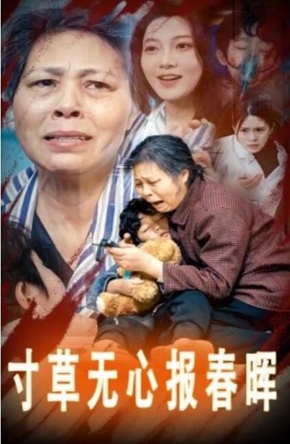短剧《寸草无心报春晖（孝子慈孙）31集全》完整版高清免费观看  第1张
