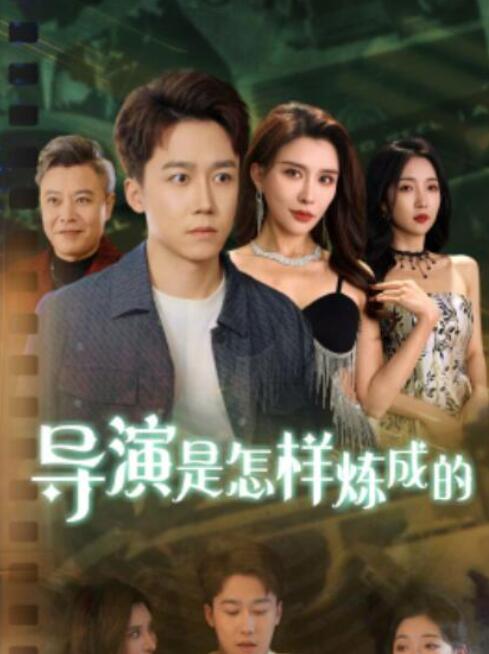 短剧《导演是怎样炼成的（1-70集）》夸克网盘资源免费观看  第1张