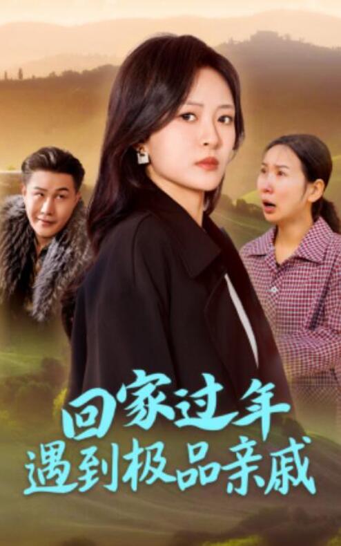 短剧《回家过年遇到极品亲戚（1-29集）》夸克网盘资源免费观看  第1张