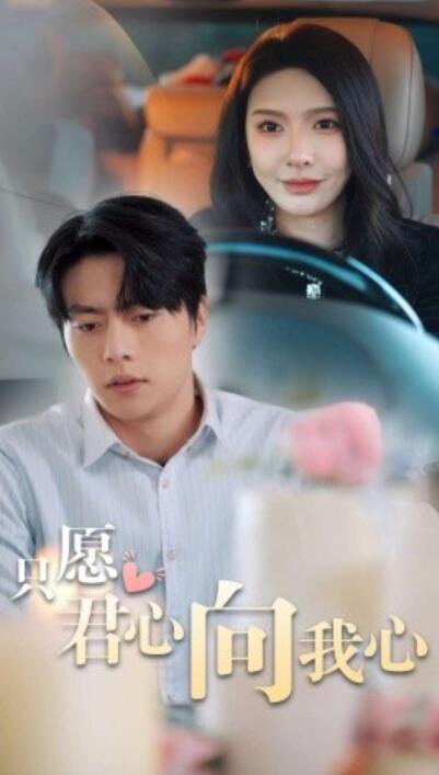 短剧《只愿君心向我心（31集全）张磊》完整版高清免费观看  第1张