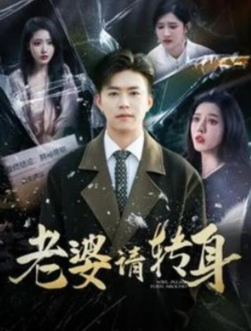 短剧《老婆请转身（1-82集）》夸克网盘资源免费观看  第1张