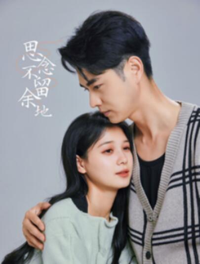 短剧《思念不留余地（73集全）王彦鑫＆左一》完整版高清免费观看  第1张