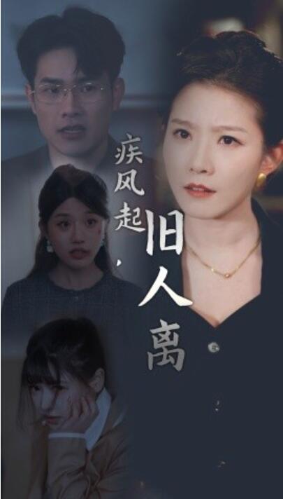 短剧《疾风起旧人离（32集全）刘灿》完整版高清免费观看  第1张