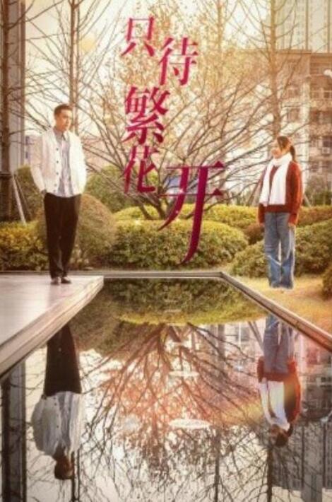 短剧《只待繁花开（1-35集）》夸克网盘资源免费观看  第1张