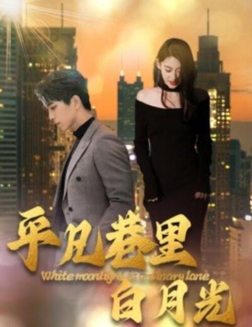 短剧《平凡巷里白月光（1-33集）》夸克网盘资源免费观看  第1张