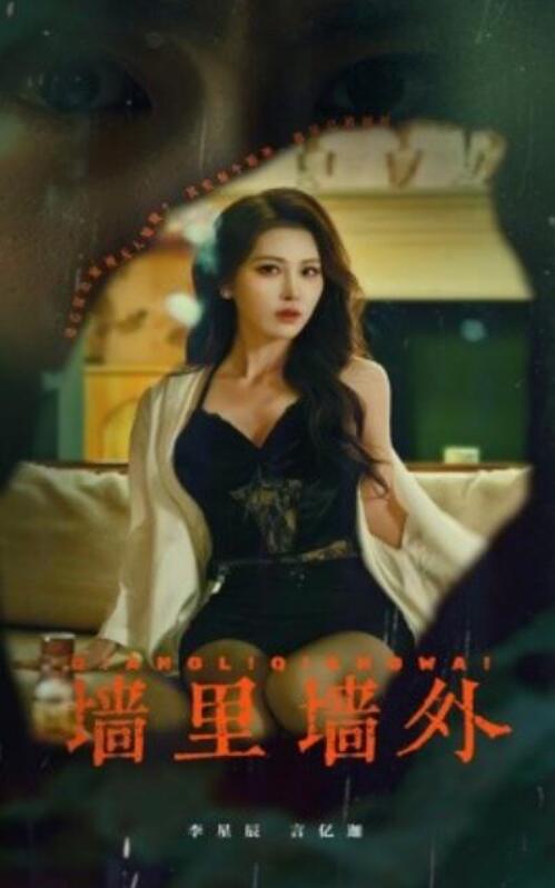 短剧《墙里墙外（55集全）李星辰》完整版高清免费观看  第1张