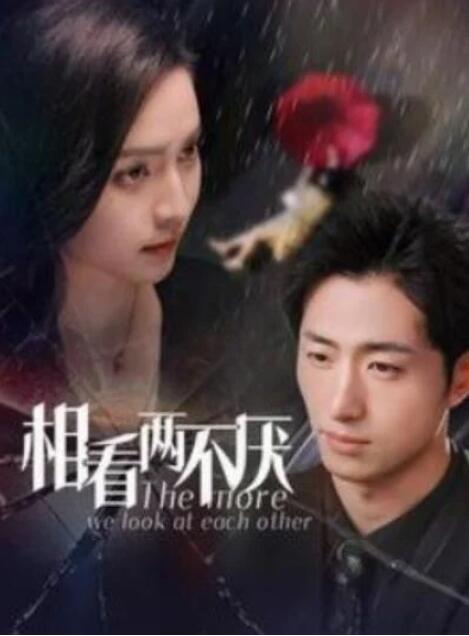 短剧《相看两不厌（80集全）王凯沐&----宋彧佳》完整版高清免费观看  第1张