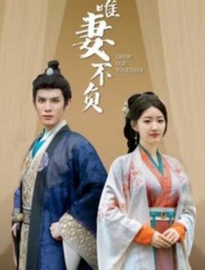 短剧《唯妻不负（1-80集）》夸克网盘资源免费观看  第1张