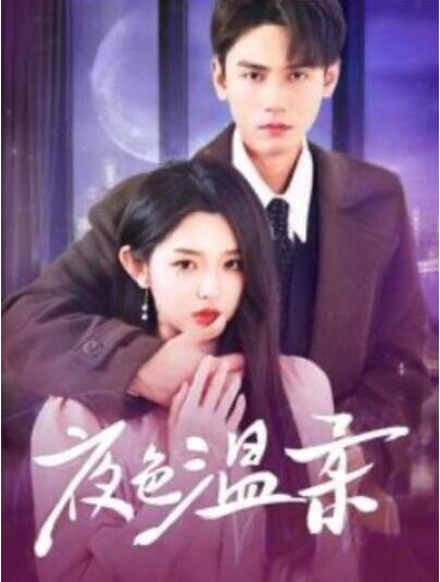 短剧《夜色温柔（1-98集）》夸克网盘资源免费观看  第1张