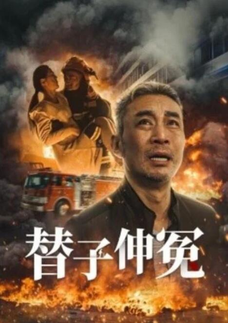 短剧《替子伸冤（35集全）》完整版高清免费观看  第1张