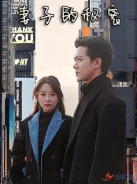 短剧《妻子的秘密（50集全）》完整版高清免费观看  第1张