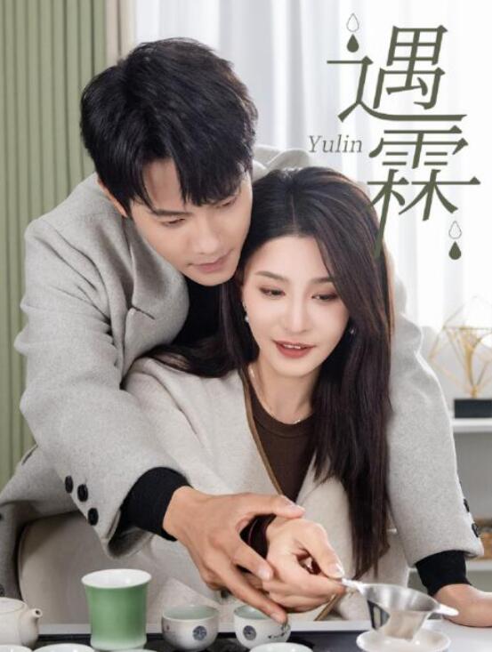 短剧《遇霖（50集全）》完整版高清免费观看  第1张
