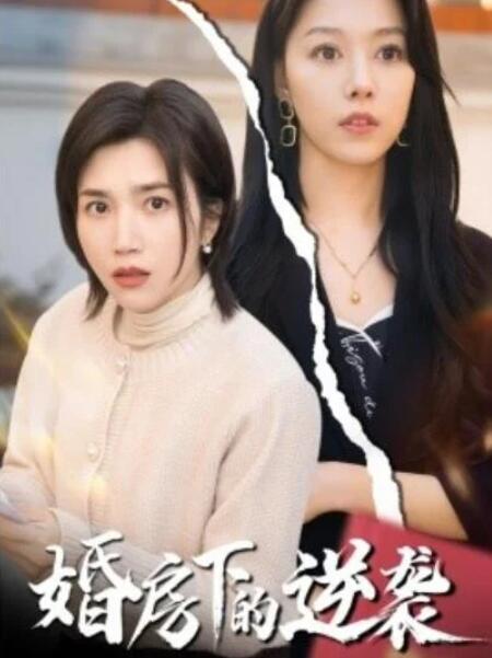 短剧《婚房下的逆袭（38集全）》完整版高清免费观看  第1张
