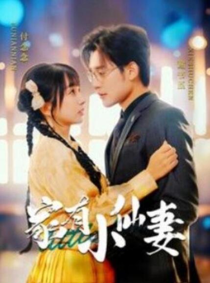 短剧《家有小仙妻（101集全）》完整版高清免费观看  第1张