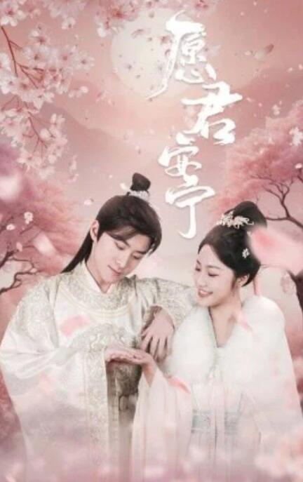 短剧《愿君安宁（34集全）》完整版高清免费观看  第1张