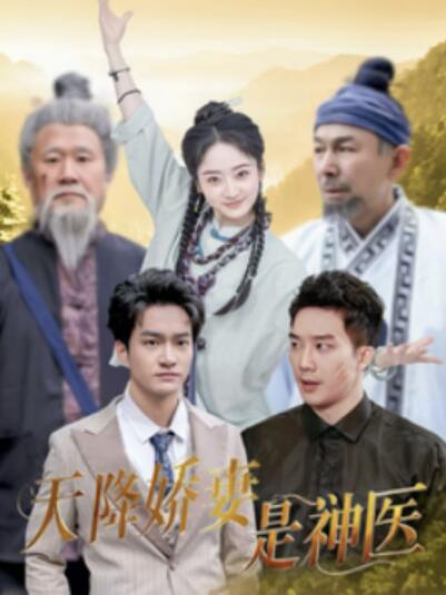 短剧《天降娇妻是神医（69集全）》完整版高清免费观看  第1张