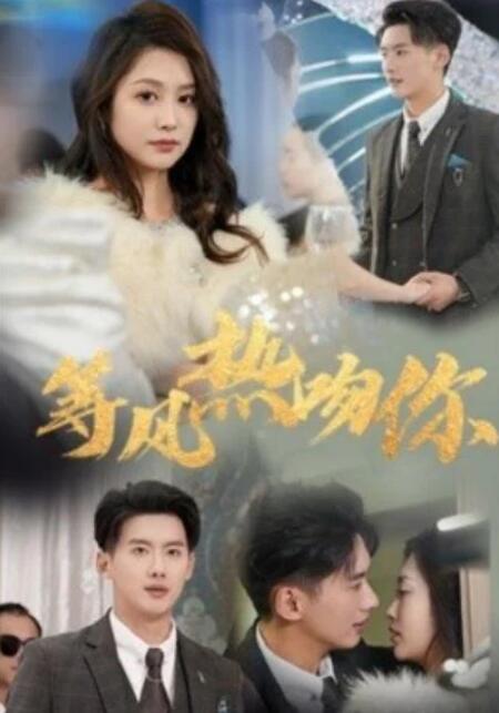 短剧《等风热吻你（31集全）》完整版高清免费观看  第1张