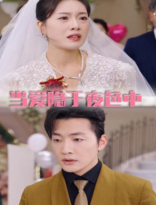 短剧《当爱隐于夜色中（37集全）》完整版高清免费观看  第1张