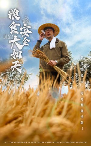 粮食安全大如天（43集） 短剧全集无删完整版