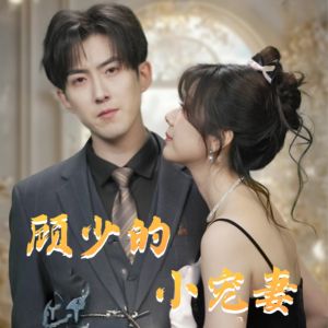 顾少的小宠妻（90集）短剧大结局连更全集