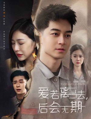 爱若离去，后会无期（70集）短剧全集秒播无卡顿