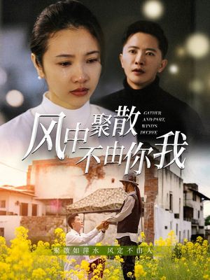 风中聚散不由你我（41集）短剧宝藏全集限免看