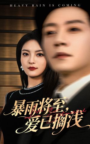 暴雨将至爱已搁浅（50集）免费短剧大全