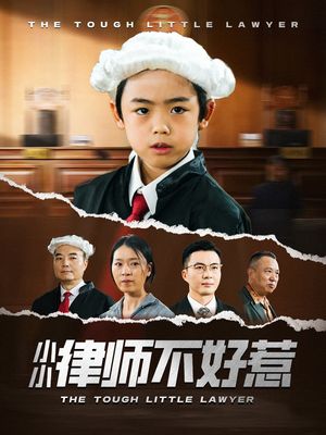 小小律师不好惹（82集）精彩短剧看不停