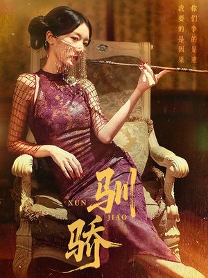 驯骄（81集）今日短剧分享