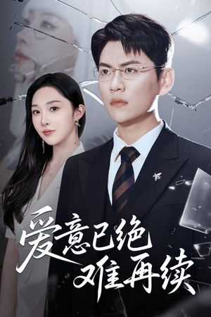 爱意已绝难再续（33集）全集