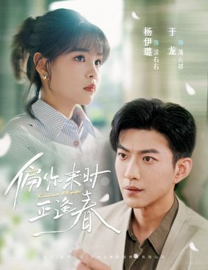 偏你来时正逢春（61集）高清画质免费看