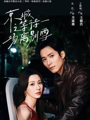 京城之等待一场离别雪（42集）无需充值尽情看