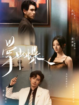 掌中蝶（84集）全集免费看短剧