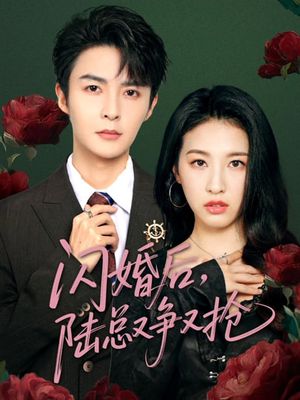 闪婚后陆总又争又抢（83集）在线看到大结局