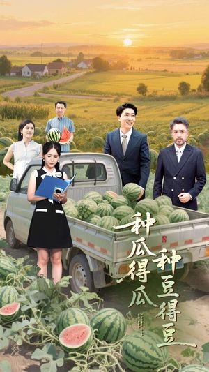 种瓜得瓜种豆得豆（30集）在线播放