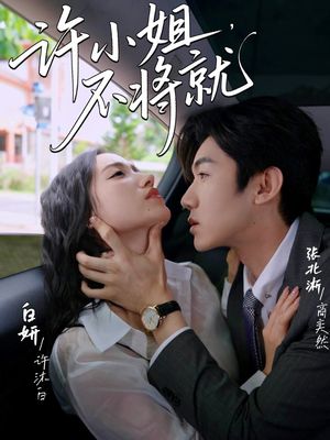 许小姐不将就（60集）超好看的短剧