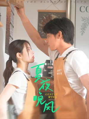 夏夜晚风（12集）全集一次看完