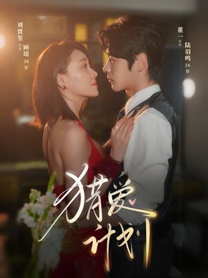 猎a计划（66集）更新时间