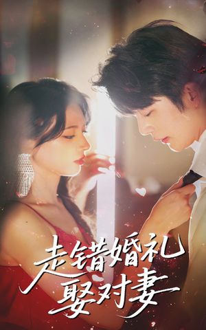 走错婚礼娶对妻（60集短剧追到爽