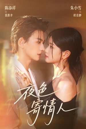 夜色寄情人（108集）短剧热门分享