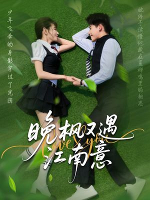 晚枫又遇江南意（60集）最后一集