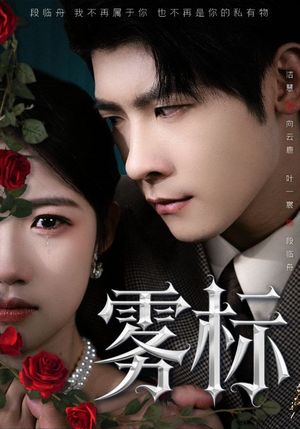 雾标（70集）短剧全集免费看