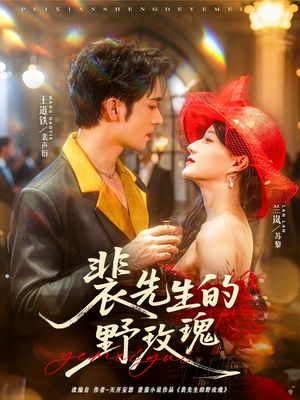 裴先生的野玫瑰（72集）在线看完整版
